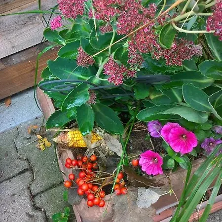 Haus Toni Appartamento Bad Füssing