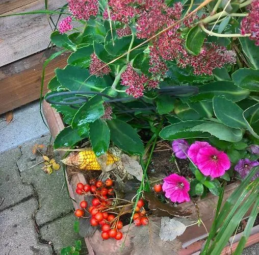 Haus Toni Apartment Bad Füssing